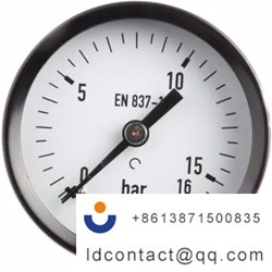 MAT2-F20.B24_Bourdon stainless stee